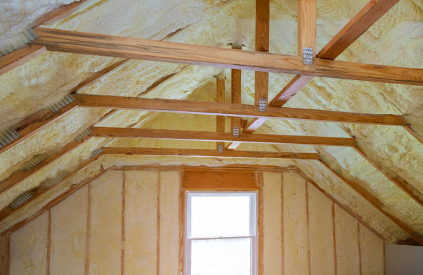 Best Insulation Maintenance and Repair in Powderly, TX