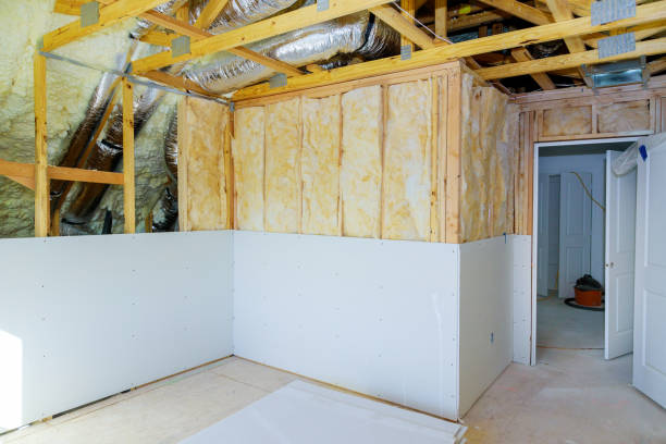 Best Insulation Maintenance and Repair in Powderly, TX