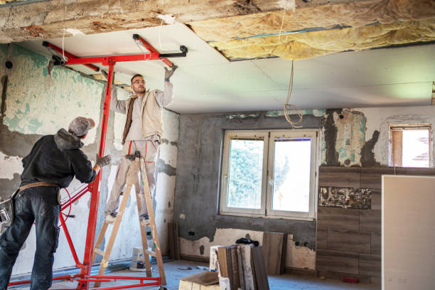 Best Insulation Installation Services in Powderly, TX