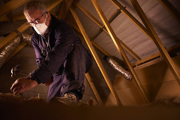 Best Energy Efficiency Solutions in Powderly, TX